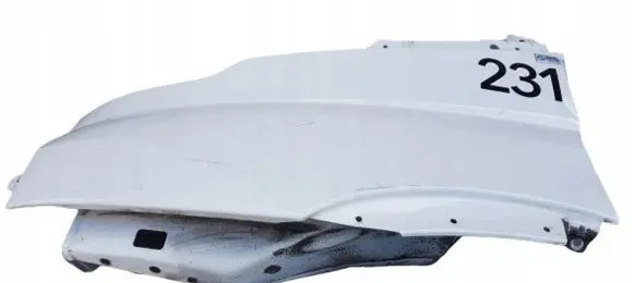 Iveco Daily 4th gen Fender