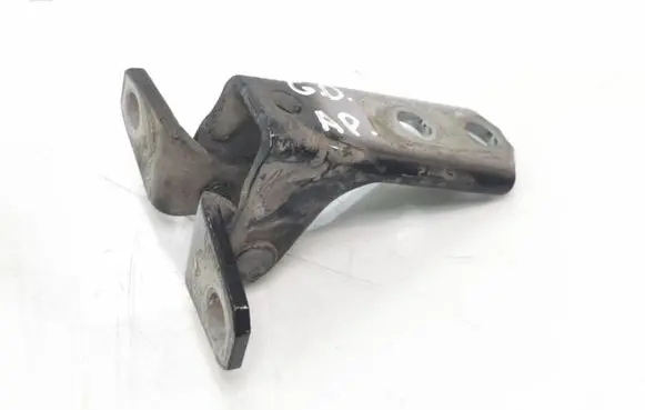 Rear door lower hinge