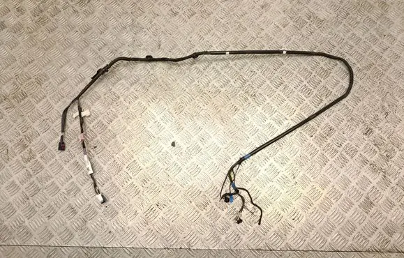 Tesla Model Y Other wiring loom 161669103D