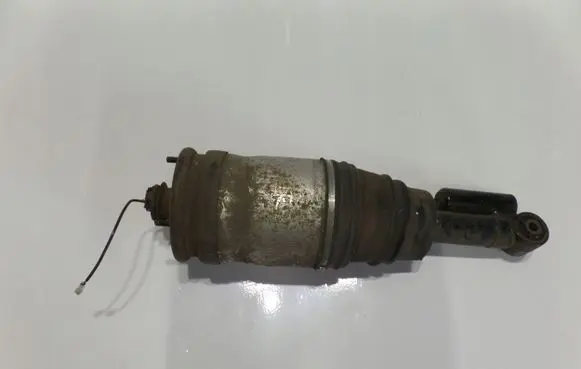 Land Rover Range Rover Sport L320 Rear shock absorber/damper 22249856