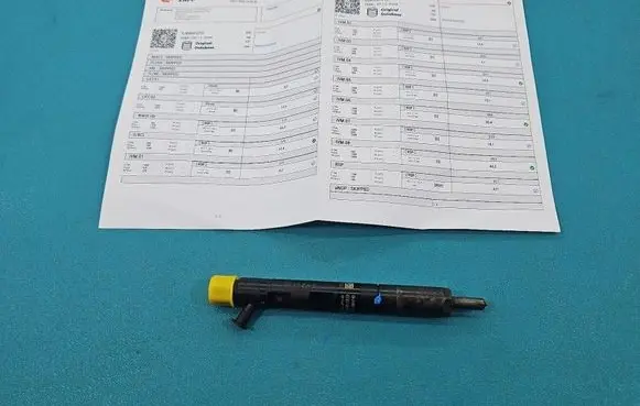 Dacia Logan I Fuel injector EJBR05101D IMPRK1513743