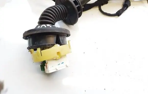 Other wiring loom