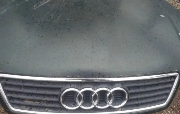 Audi A6 S6 C5 4B Front grill