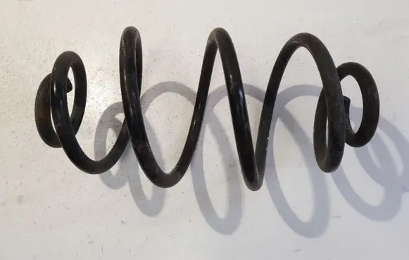 Rear coil spring