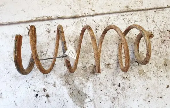 Peugeot 406 Front coil spring