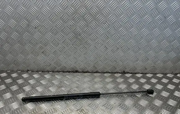 Tailgate/trunk strut/damper