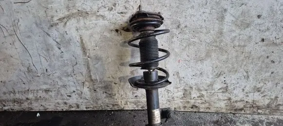 Hyundai i30 Front shock absorber with coil spring 546602R200