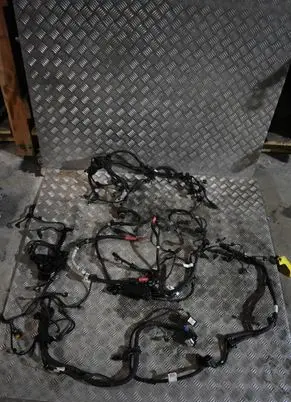 BMW X3 G01 Wiring harness 