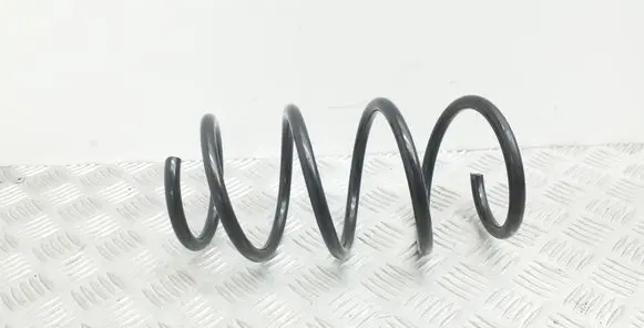 Front coil spring