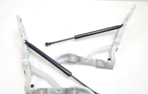 BMW 2 F22 F23 Tailgate/trunk/boot hinge 7304557 7304558 7304556