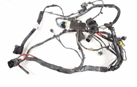 Mini Cooper Countryman F60 Other wiring loom 8661703