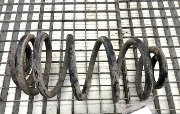 Rear coil spring
