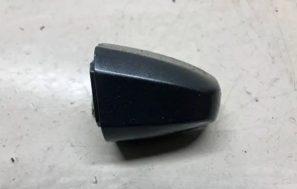 BMW X1 F48 F49 Rear door handle cover 