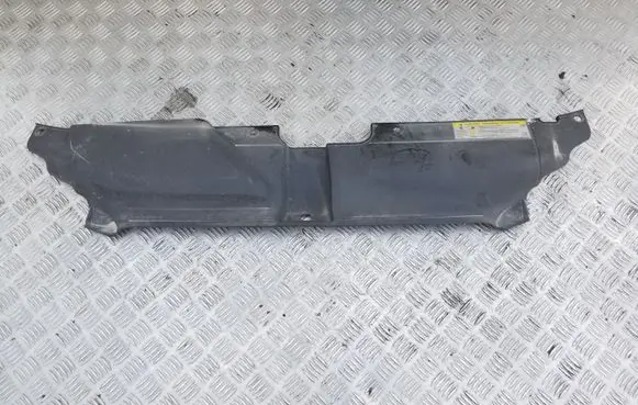 Engine bonnet/hood lock trim molding