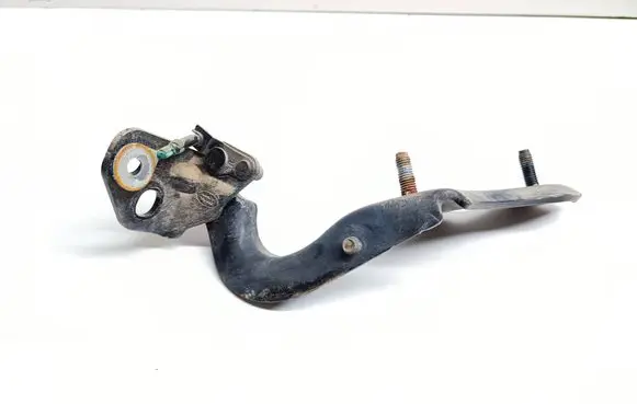 Tailgate/trunk/boot hinge
