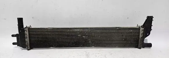 Dacia Logan II Coolant radiator 214108831R
