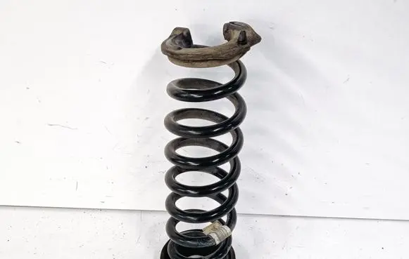 Rear coil spring
