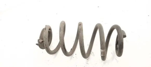 Rear coil spring