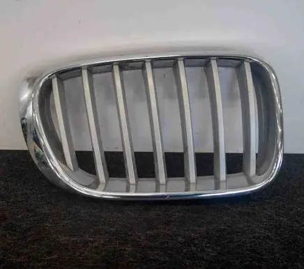 BMW X3 F25 Front grill 7210726