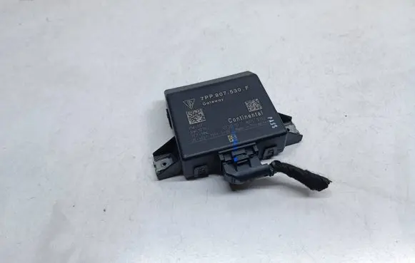 Porsche Cayenne (92A) Gateway control module 7PP907530F