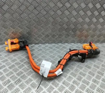 Volkswagen ID.4 Other wiring loom 1EA971015BD