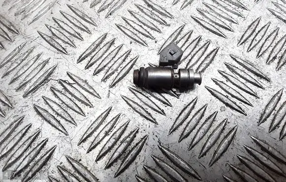 Renault Scenic RX Fuel injector