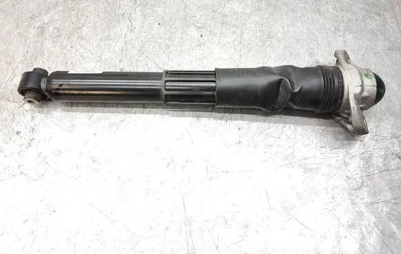 Volkswagen ID.4 Rear shock absorber/damper 1EA512013AL 801404008411