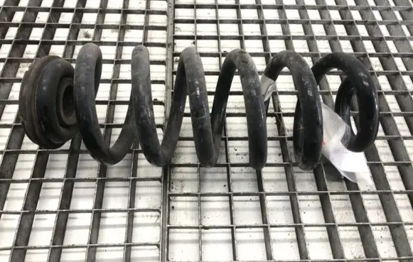 Rear coil spring