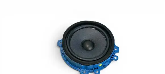 Hyundai Tucson IV NX4 Front door speaker 96330N7250 55057