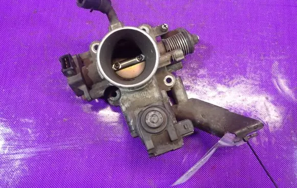 Throttle body valve