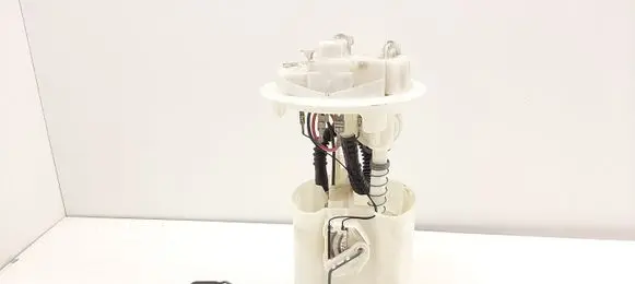 Peugeot Partner In-tank fuel pump 09730689900