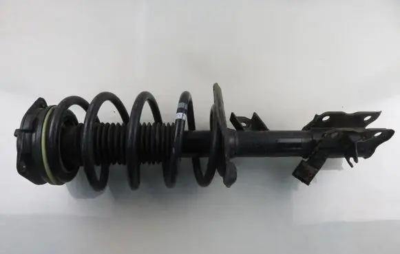 Nissan Qashqai Front shock absorber with coil spring 