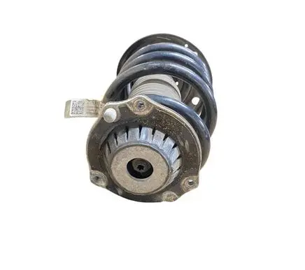 Chevrolet Traverse II Front shock absorber with coil spring 84257824 4d20220 824904012790