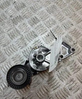 Seat Alhambra (Mk1) Generator/alternator belt tensioner 950872