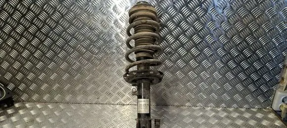 Opel Zafira B Front shock absorber/damper 313478