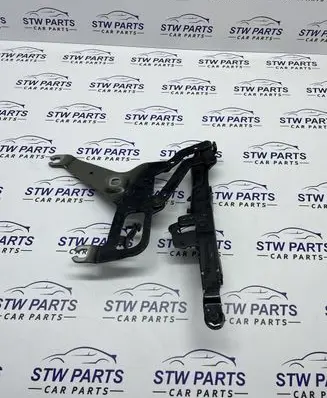 BMW X5 F15 Engine bonnet/hood hinges 7294530