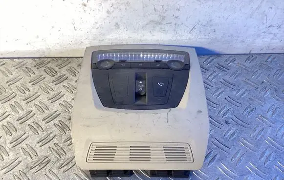 BMW 5 F10 F11 Front seat light 28140555 DW05529