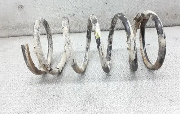 KIA Carnival Front coil spring