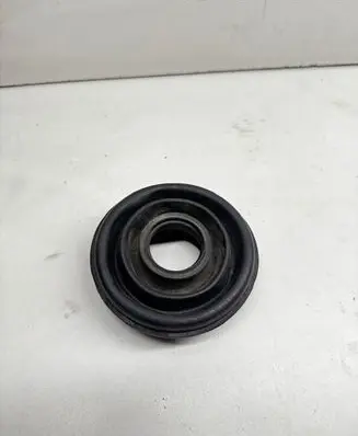 BMW 5 E39 Xenon bulb 