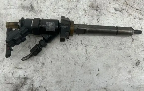 Citroen C3 Fuel injector 0445110311 620033