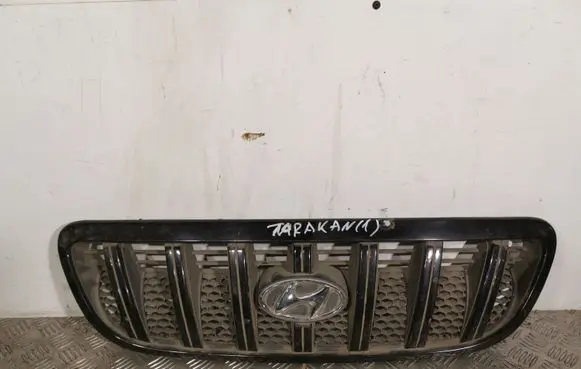 Hyundai Terracan Front grill