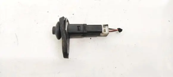 Hyundai Santa Fe Front door sensor 
