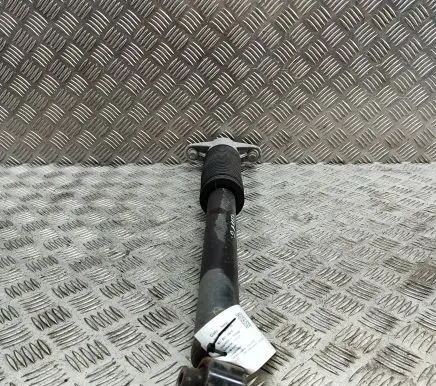 Tesla Model Y Rear shock absorber/damper 118846300C