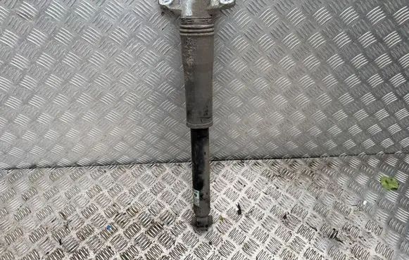 KIA Niro Rear shock absorber/damper 55307A0200