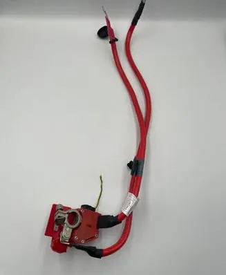 BMW 1 F20 F21 Positive cable (battery) 9253111 9253110 5A0A0AB1