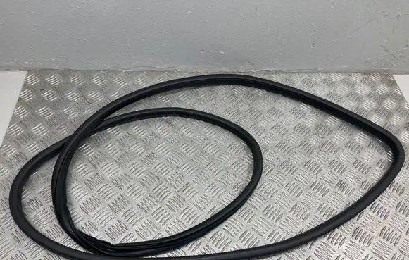 Nissan Juke I F15 Front door rubber seal 