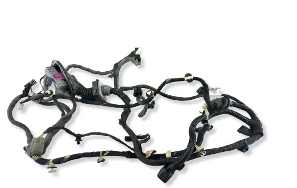 Opel Insignia A Front door wiring loom 22866746