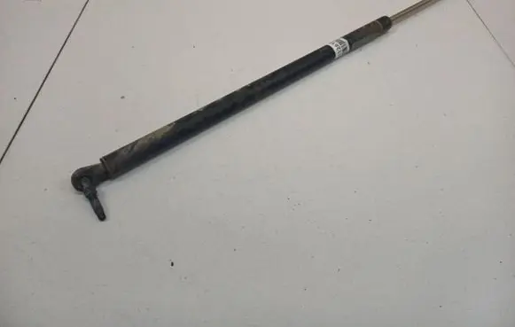 Chrysler Grand Voyager IV Tailgate/trunk strut/damper 04894554AC