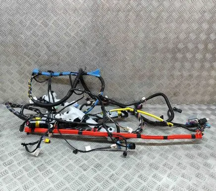 Tesla Model Y Other wiring loom 248904102A