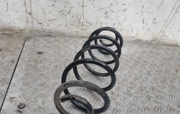 Citroen C4 SpaceTourer Rear coil spring